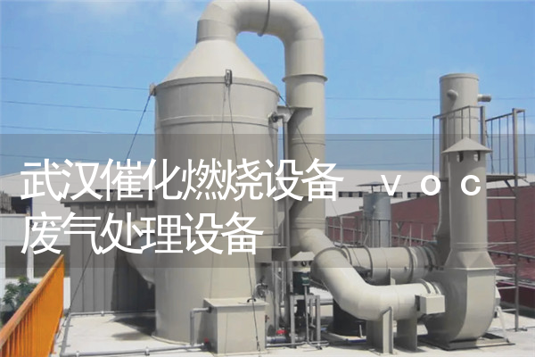 武汉催化燃烧设备 voc废气处理设备